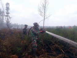 Kodam XIX/Tuanku Tambusai Intensifkan Pendinginan Karhutla 13 Hektare di Bengkalis