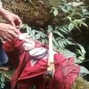 Polisi Lingsar Cek Temuan Tulang Diduga Kerangka Manusia di Batu Mekar
