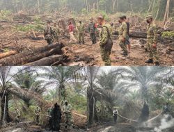 Turun Langsung ke Lapangan, Dalami Karhutla Mandor Jadi Sorotan Pasis Sesko TNI Angkatan LVI di Landak