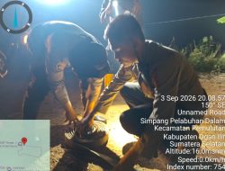 Operasi Aman Nusa II: Tim Gabungan Sigap Padamkan Karhutla Seluas 20 Hektare di Pemulutan Ogan Ilir