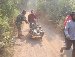 Api Karhutla Makin Membesar, TNI Kodim 0825 Banyuwangi Evakuasi Personel dari Lereng Kawah Ijen