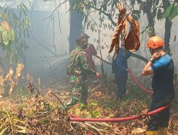 Selamatkan Masa Depan, Tim Penyuluh Gabungan Gelar Sosialisasi Karhutla di Wilayah Kodim 0413/Bangka