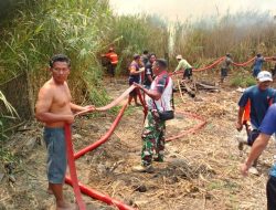 Babinsa, Damkar Dan Masyarakat, Gotong Royong Berhasil Padamkan Api di Kampung Yaba Maru Merauke