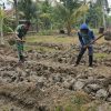 Dukung Ketahanan Pangan, Babinsa Bantu Warga Buat Bedengan Lahan Melon