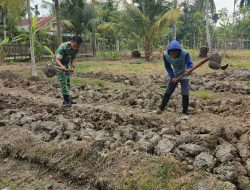 Dukung Ketahanan Pangan, Babinsa Bantu Warga Buat Bedengan Lahan Melon