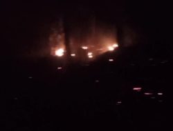 Hutan Jati di Dorebara Dompu Terbakar, Aparat Dalami Dugaan Pembakaran yang Disengaja