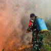 Kodam XIX/Tuanku Tambusai Intensifkan Pendinginan Karhutla Pelalawan, 966,4 Hektare Lahan Telah Dipadamkan