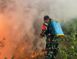 Kodam XIX/Tuanku Tambusai Intensifkan Pendinginan Karhutla Pelalawan, 966,4 Hektare Lahan Telah Dipadamkan