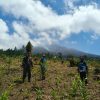 Siaga Karhutla! Koramil 0825/21 Kalipuro dan Perhutani Sisiri Hutan Lindung Petak 1-D3 Kalipuro