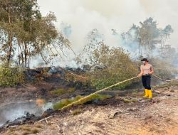 Operasi Aman Nusa II, 19 Personel Tangani Karhutla di Teluk Limau