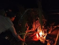 Polres Malang Musnahkan Arena Diduga Sabung Ayam di Pagelaran