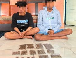 Polres Maybrat Ungkap Peredaran Ganja, Dua Orang Diamankan, Barang Bukti 162 Gram Disita