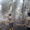11 Personel BKO Aman Nusa II Padamkan Karhutla di Tulung Selapan