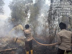 11 Personel BKO Aman Nusa II Padamkan Karhutla di Tulung Selapan