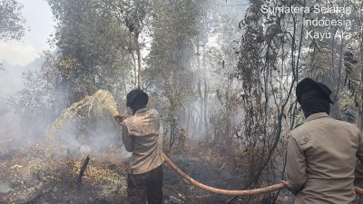 11 Personel BKO Aman Nusa II Padamkan Karhutla di Tulung Selapan
