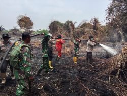 Kodam XIX/Tuanku Tambusai Perkuat Penanganan Karhutla di Bengkalis dan Kepulauan Meranti