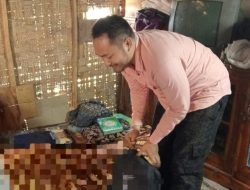 Pencari Rumput Laut di Parado Ditemukan Meninggal Dunia Terjepit Batu Karang