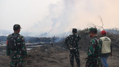 Danrem 044/Gapo Tinjau Cetak Sawah di Muba, Perkuat Komitmen Dukung Swasembada Pangan