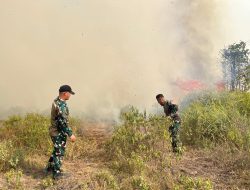 Cepat Tanggap, Satgas Yonif 147/KGJ Padamkan Karhutla di Distrik Meyado