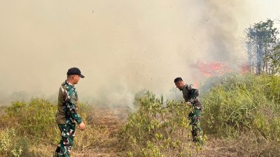 Cepat Tanggap, Satgas Yonif 147/KGJ Padamkan Karhutla di Distrik Meyado