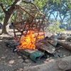 Polres Bima Tegas Berantas Judi Sabung Ayam, Arena di Belo Dibakar