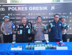 Modus Unik Ganja 10,8 Kg Disembunyikan di Dalam Vespa Terbongkar di Cerme
