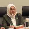 25 Merek Beras Fortifikasi Palsu, Komisi IV: Segera Tarik dari Pasar dan Tindak Tegas Pelaku