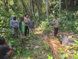 Pemuda 22 Tahun di Desa Sandue Jatuh dari Pohon Kelapa, Nyawanya Tak Tertolong
