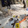 Polisi Selidiki Dugaan Perburuan Penyu Sisik oleh WNA Tiongkok di Kawasan Konservasi Raja Ampat
