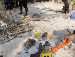 Polisi Selidiki Dugaan Perburuan Penyu Sisik oleh WNA Tiongkok di Kawasan Konservasi Raja Ampat