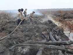 Operasi X-Fire Polda Sumsel Lampaui Target, Karhutla Teluk Limau Berhasil Dipadamkan
