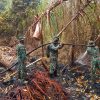 Kodam XIX/Tuanku Tambusai Terus Kejar Pendinginan Karhutla, Dua Titik Asap di Bengkalis dan Meranti Masih Ditangani