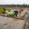 Babinsa Turun ke Lumpur, Babinsa Bantu Petani Siapkan Bibit Padi