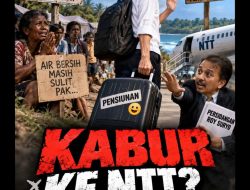 Penyintas Gempa Palue Keluhkan Sulit Air Bersih, Jokowi: Saya Sekarang Pensiunan