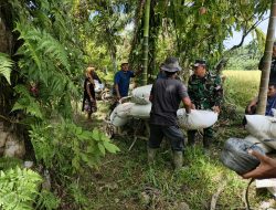 Usai Panen, Babinsa Koramil 20/CGK Bantu Petani Angkut Gabah ke Penggilingan