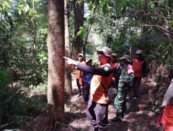 Cegah Karhutla Koramil Pakem Sleman bersama Aparat Terkait Patroli Bersama