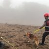 Unit Polsatwa Ditsamapta Polda Sumbar Turunkan K9 Spesifikasi SAR Telusuri Jalur Air Bah