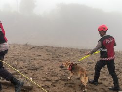 Unit Polsatwa Ditsamapta Polda Sumbar Turunkan K9 Spesifikasi SAR Telusuri Jalur Air Bah