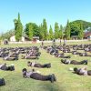 Seharian Ditempa di Lapangan, Ketarunaan SMKN 1 Jenar Digembleng Babinsa