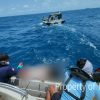 Tim Penyelam TNI AL Temukan 15 Jenazah Korban KM Virgo Transport 8