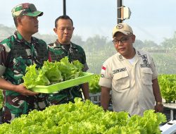 Modal Lahan Sempit, PNS Kodim 0732/Sleman Ini Raup Cuan Jutaan