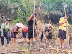 Semangat Tak Kenal Cuaca, Bhabinkamtibmas dan Petani Serta PPL Kompak Tanam Jagung di Pawis Hilir