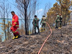 Kodam XIX/Tuanku Tambusai Teruskan Penanganan Karhutla di Batam, Lahan 10 Hektare Berhasil Dikendalikan