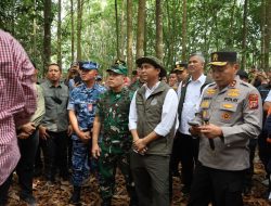 Pangdam XIX/Tuanku Tambusai Dampingi Menteri Kehutanan Tinjau Restorasi Gambut dan Pencegahan Karhutla di Bengkalis