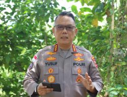 Satgas Damai Cartenz Amankan DPO YYS, Pengembangan Jaringan Senjata dan Amunisi Terus Dilakukan