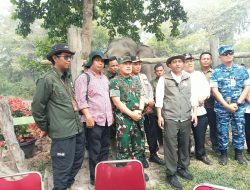 Pangdam XIX/Tuanku Tambusai Dampingi Menteri Kehutanan Tinjau Flying Squad Tesso Nilo, Perkuat Upaya Pelestarian Gajah Sumatra