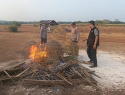 Polsek Sidayu Tertibkan Arena Sabung Ayam di Gresik