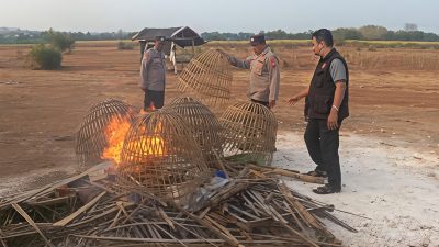 Polsek Sidayu Tertibkan Arena Sabung Ayam di Gresik