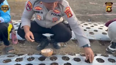 Polres OKU Selatan Perkuat Program Ketahanan Pangan Nasional Lewat Penanaman Susulan Bawang Putih