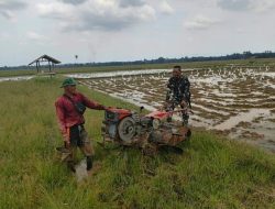 Terjun ke Lumpur, Babinsa Koramil 02/Kuta Makmur Bantu Petani Bajak Sawah